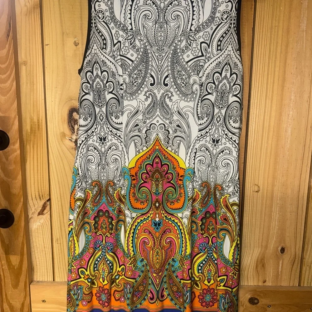 Sandra Darren Multicolor Paisley Dress - Picture 4 of 5